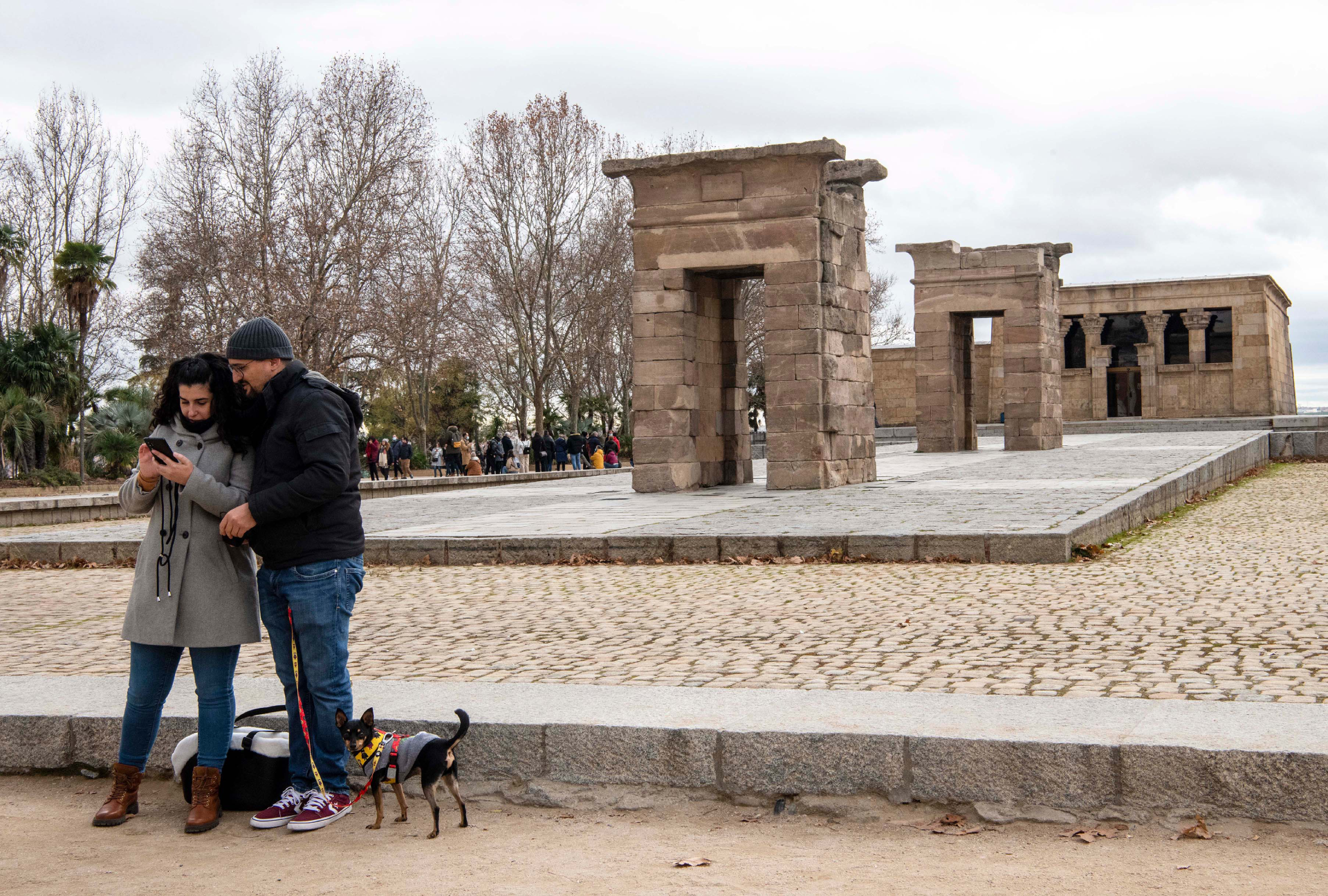 Una pareja joven caminando con su perro está detenida delante del Templo de Debod consultando el móvil