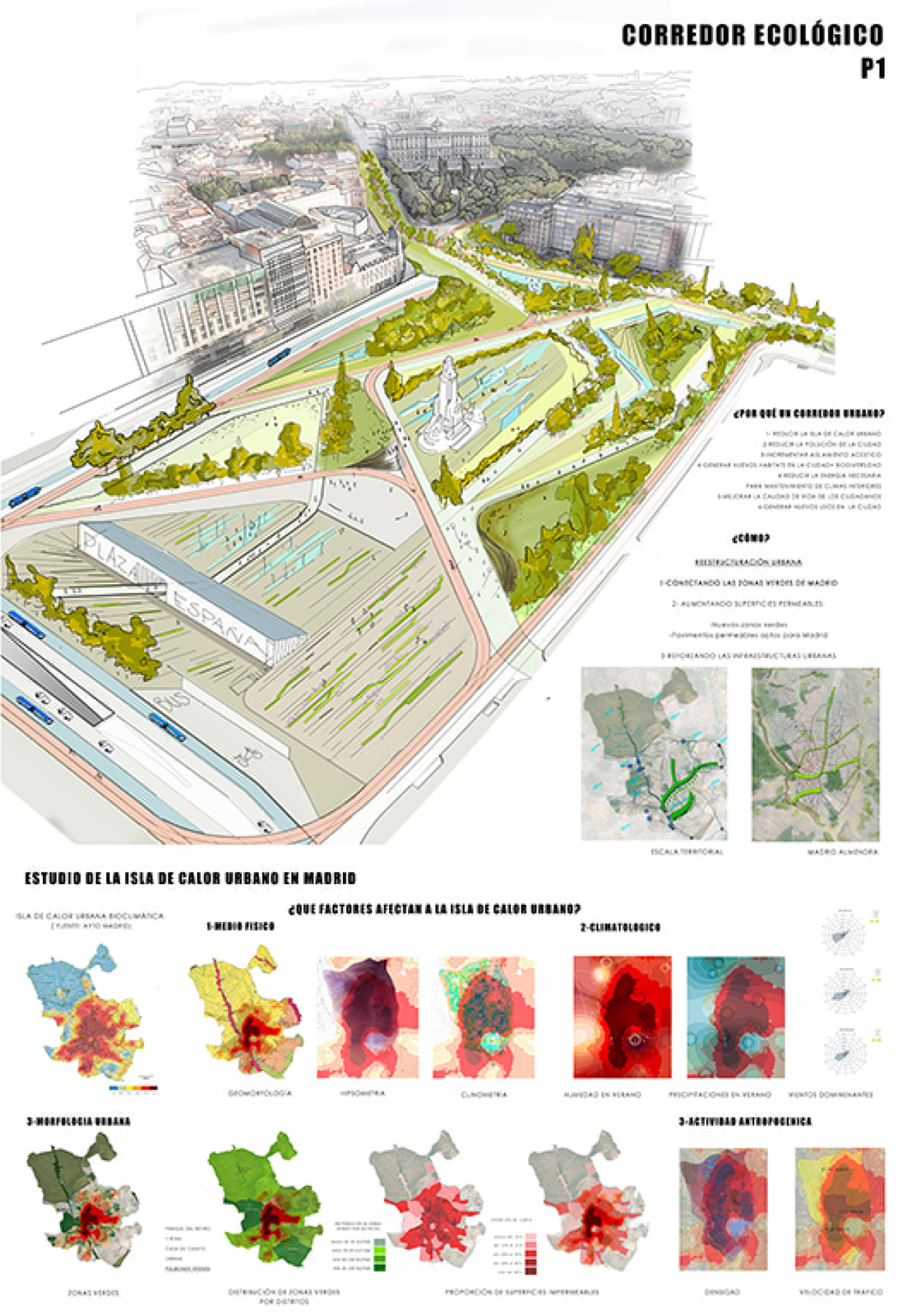 Proyecto 29 para la Remodelación de Plaza España: Corredor ecologico