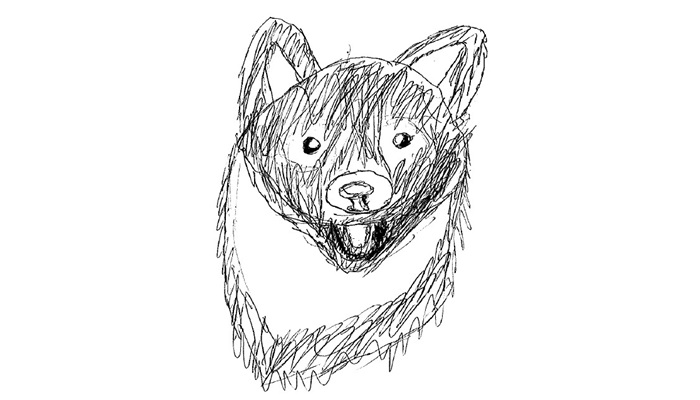 Dibujo en blanco y negro de cabeza de perro con orejas erguidas, hocico detallado y trazos de sombreado realizados a mano