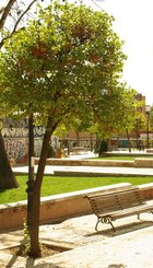 Parque de Peñuelas