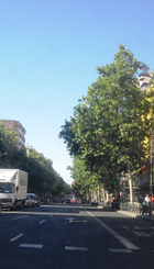 Calle de Bravo Murillo