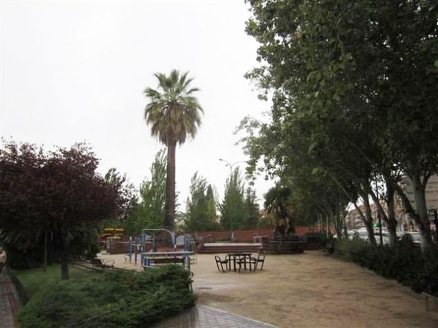 Plaza de La Palmera en Carabanchel