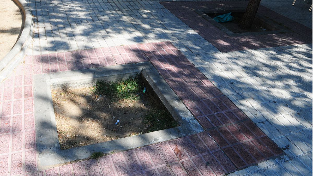 Ejemplo de  Alcorque vacío a  Replantar.