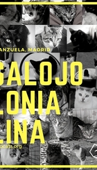 Desalojo Colonia Felina. Asociación Colonia Procats