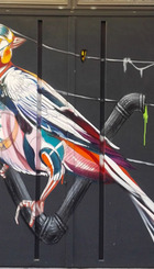 Gorrión-Grafiti.jpg