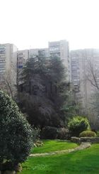 239101917.jpg