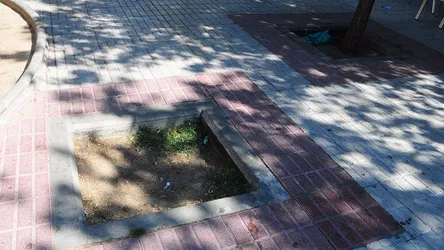alcorques_ejemplo.jpeg