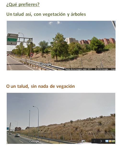 Repoblar taludes, isletas, rotondas y espacios no utilizados, ni utilizables.