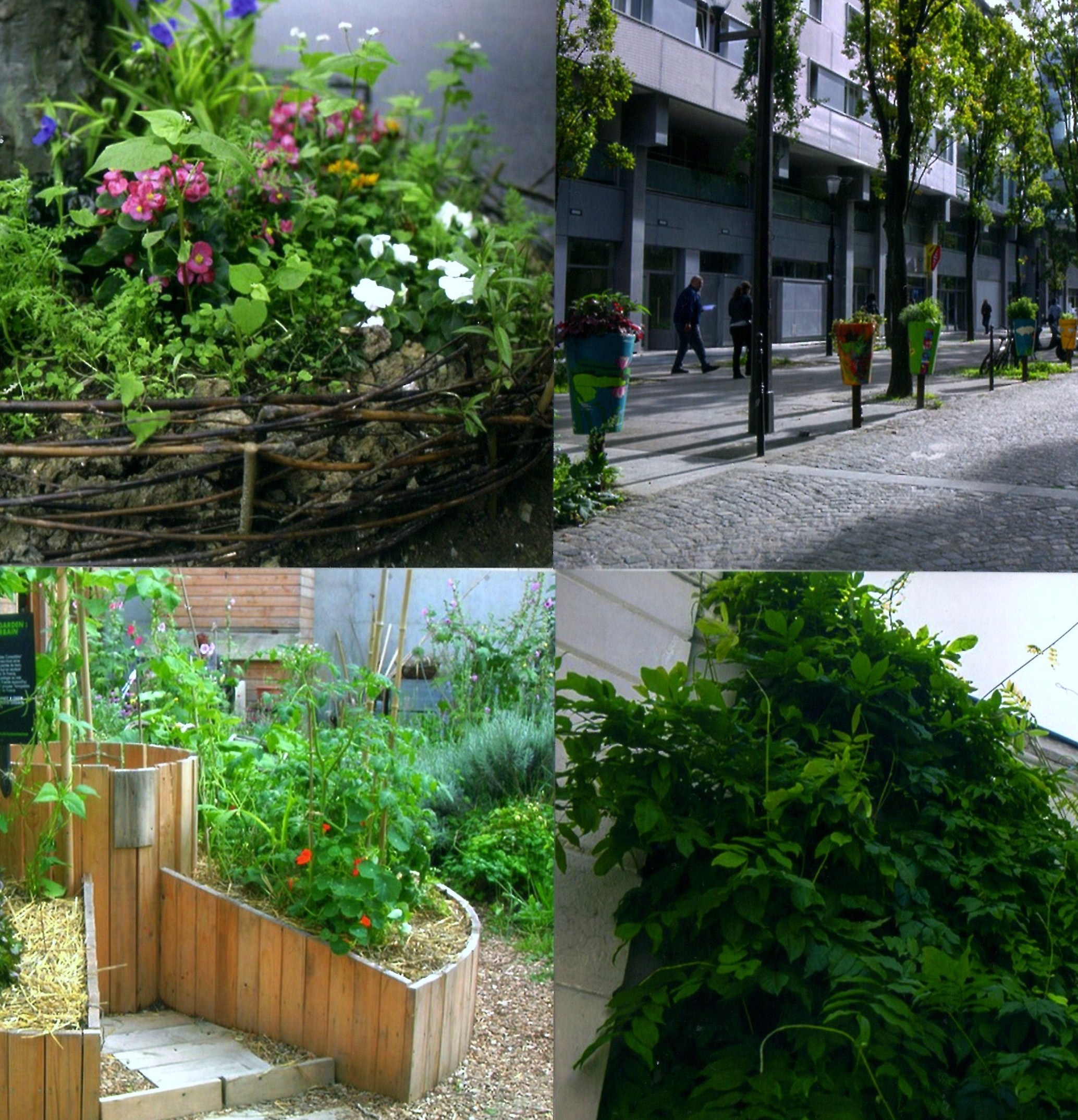 (Fotos de la web https://www.paris.fr )