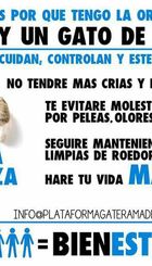 ventajas_CES.jpg