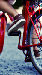 bicicleta.jpg