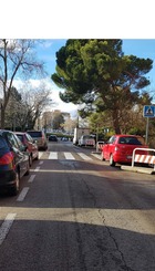 Paso_cebra1.jpg