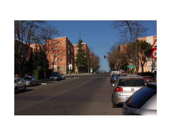 Colonia Los Pinos de San Agustín