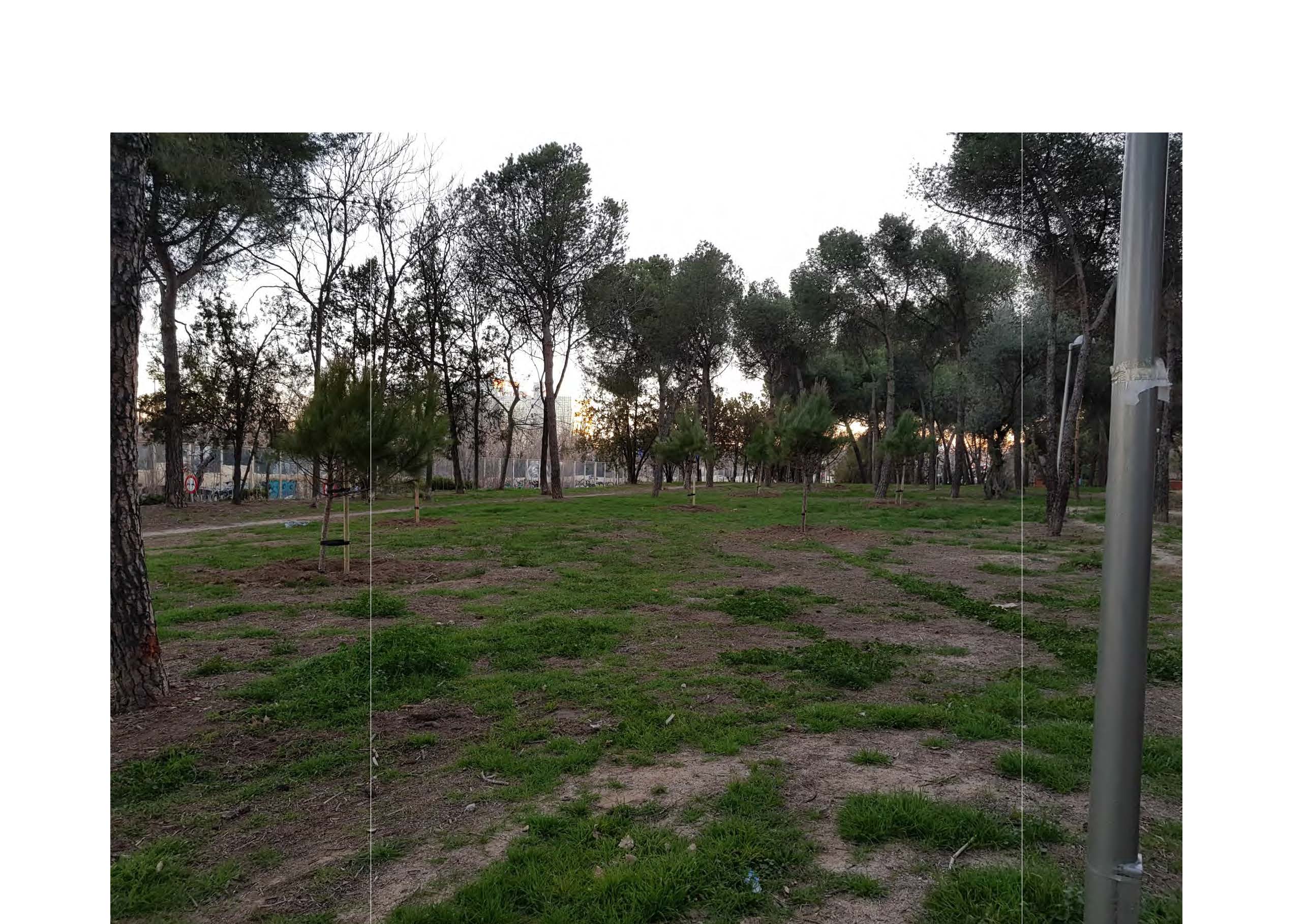 Parque_canino_r.jpg