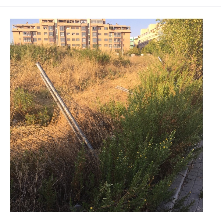 Imagen de uno de los solares abandonados en Sanchinarro 