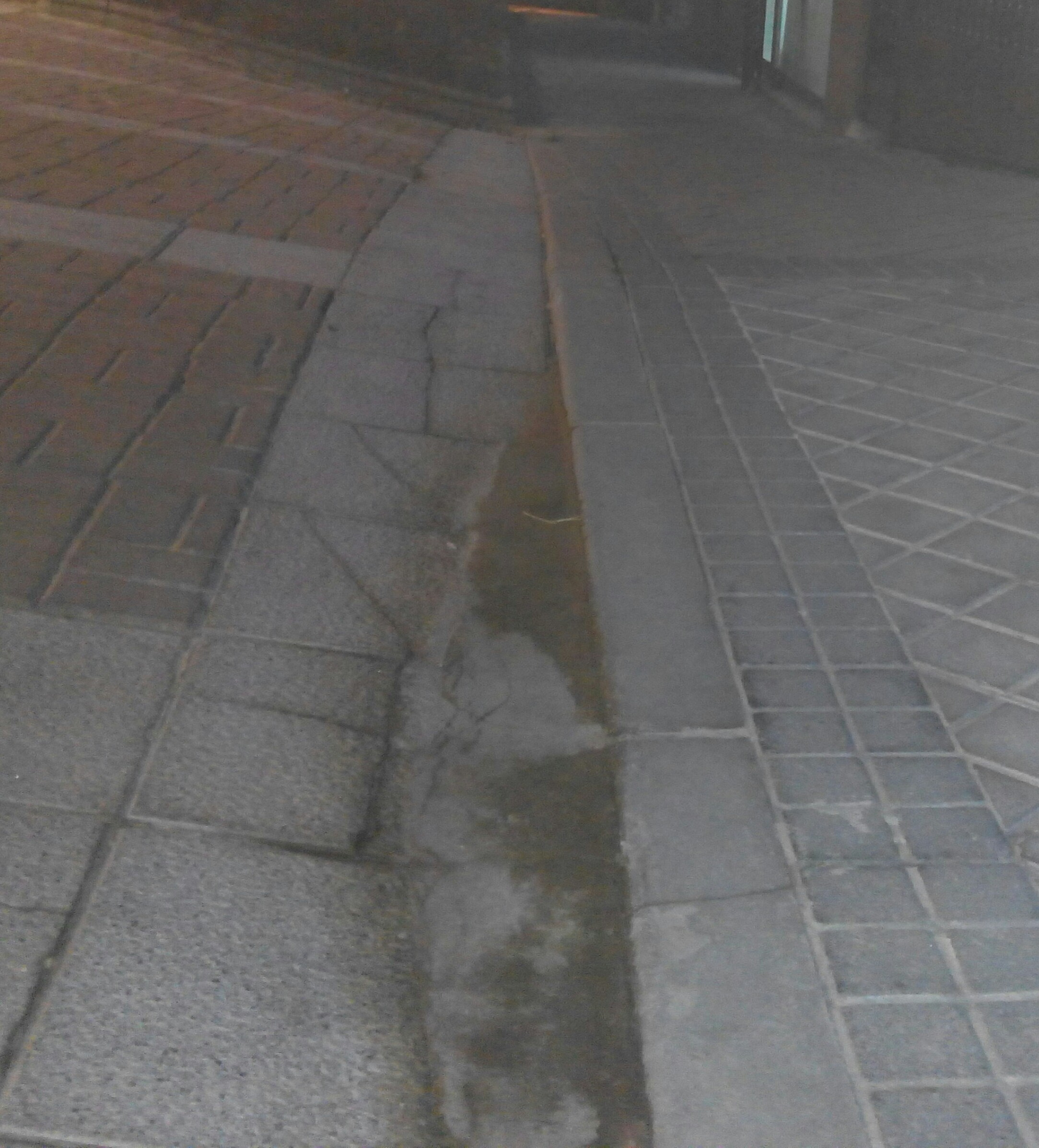 Detalle del pavimento y desnivelado.