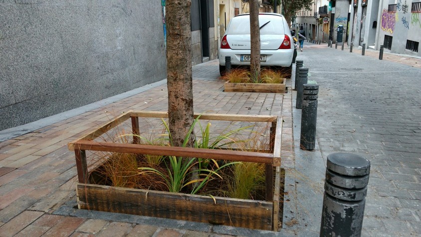Dos ejemplos de jardines en alcorques instalados con éxito en Malasaña