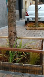 Dos ejemplos de jardines en alcorques instalados con éxito en Malasaña