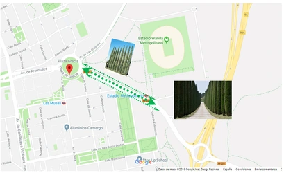 Ubicación y ejemplos para la Pantalla Vegetal en Arcentales