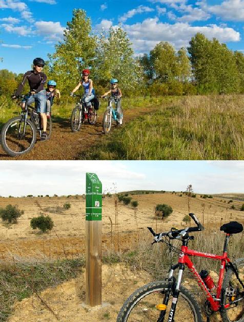 Ejemplo de como quedaría el camino