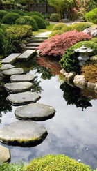 Jardín japonés