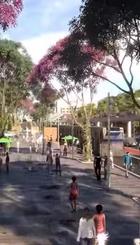 Ejemplo de como quedaría el paseo