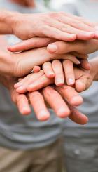 VoluntariosyVoluntad.jpg
