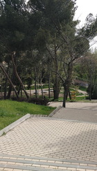 IMG_20180424_174915_505_Parque_Rodriguez_Sahagun.jpg