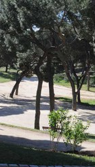 Parque San Blas - El Paraíso