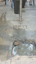 Alcorques vacíos 1