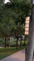 Maleza al final del jardín