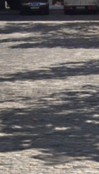 4DC61C78-A1DC-4334-81E3-0BB8BF25D154.jpeg