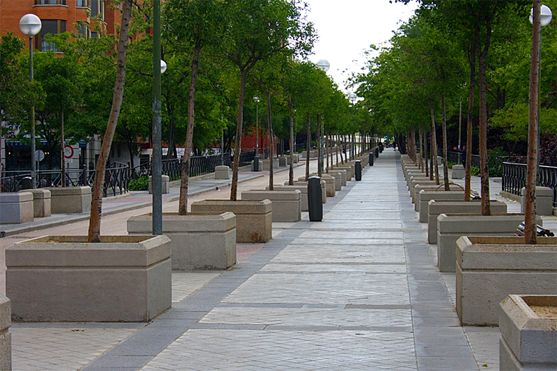 Pasillo Verde