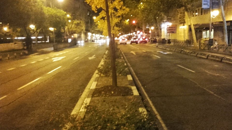 Ejemplo vegetación en medio de calle ancha