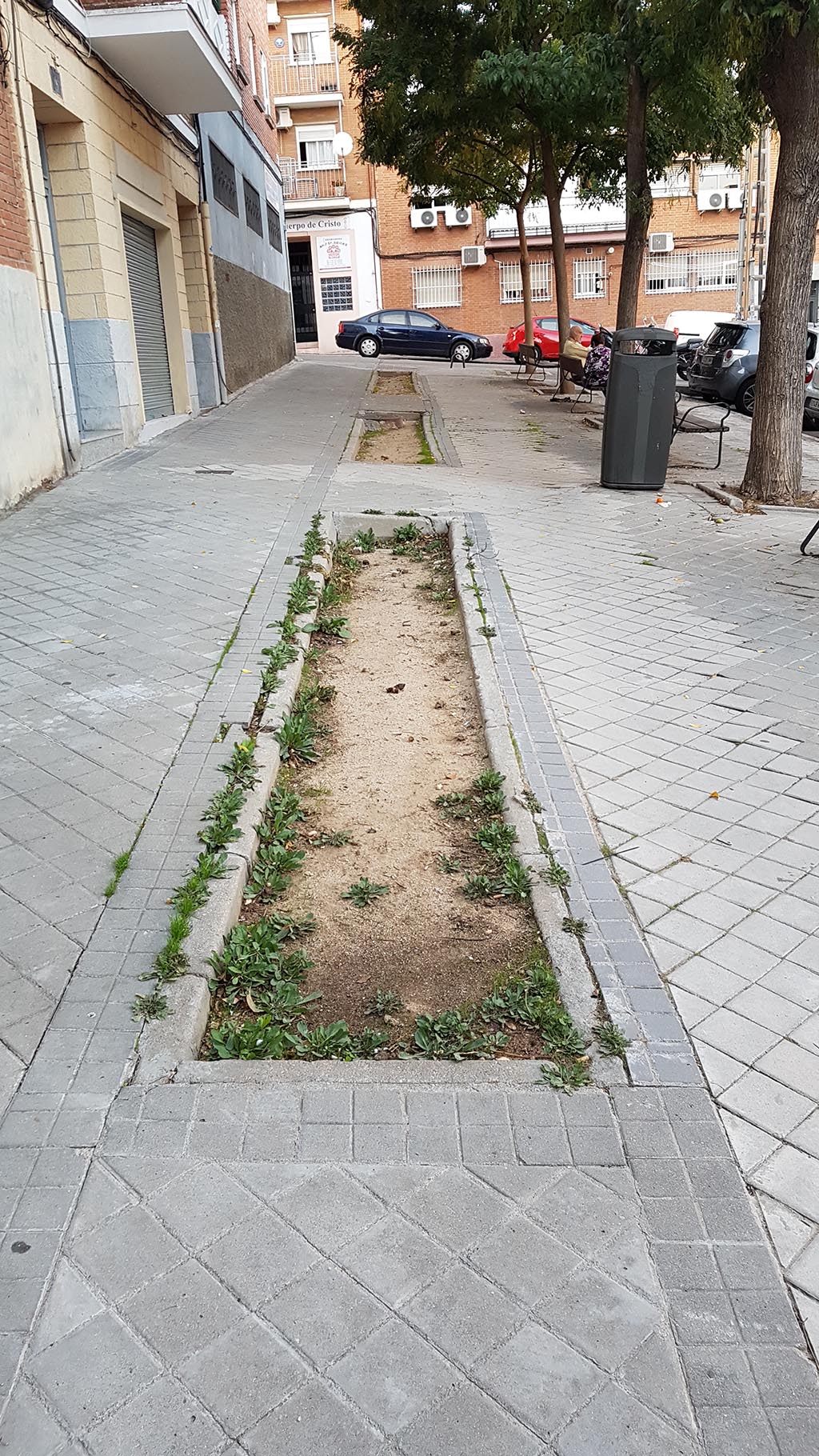 caca can en la actualidad