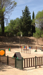 Parque canino