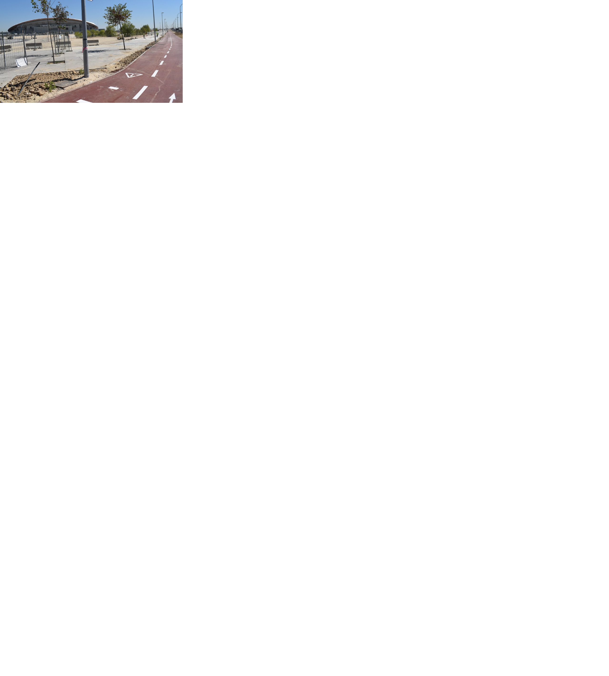 cierre del anillo cicilsta