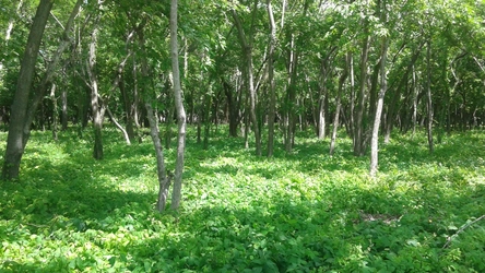 2015-07-03_13.00.25.jpg