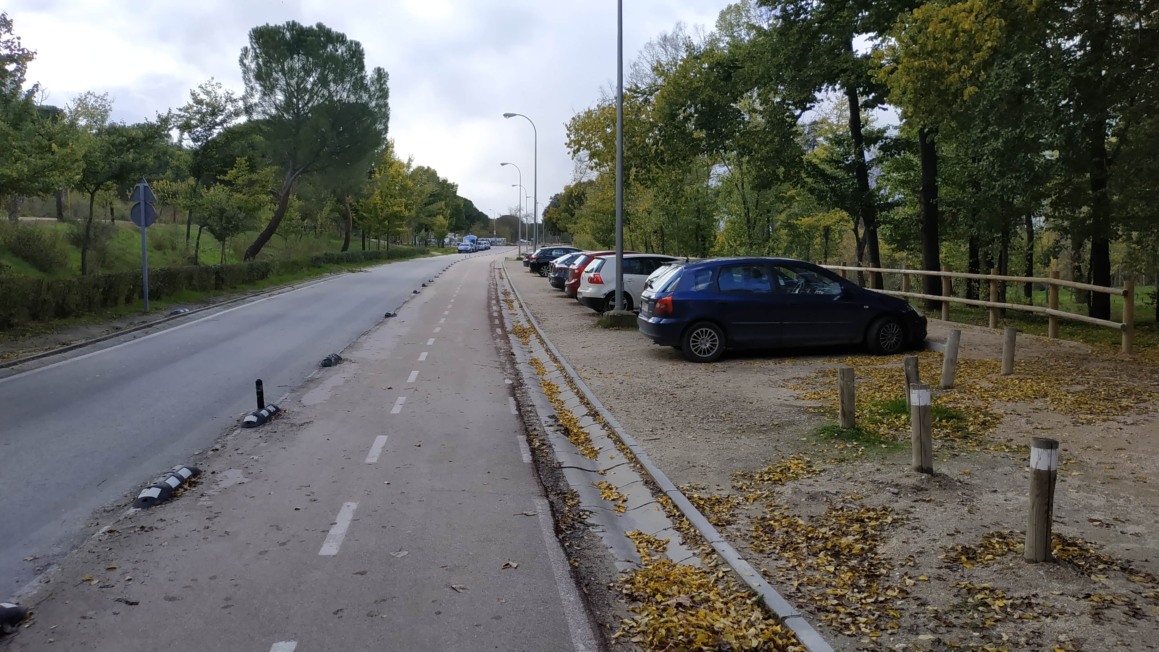 Carril bici de acceso al lago de la Casa de Campo