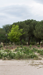 Parque del Pradolongo