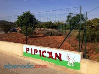 Pipican