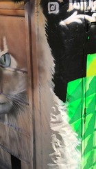 mobiliario para gatos callejeros