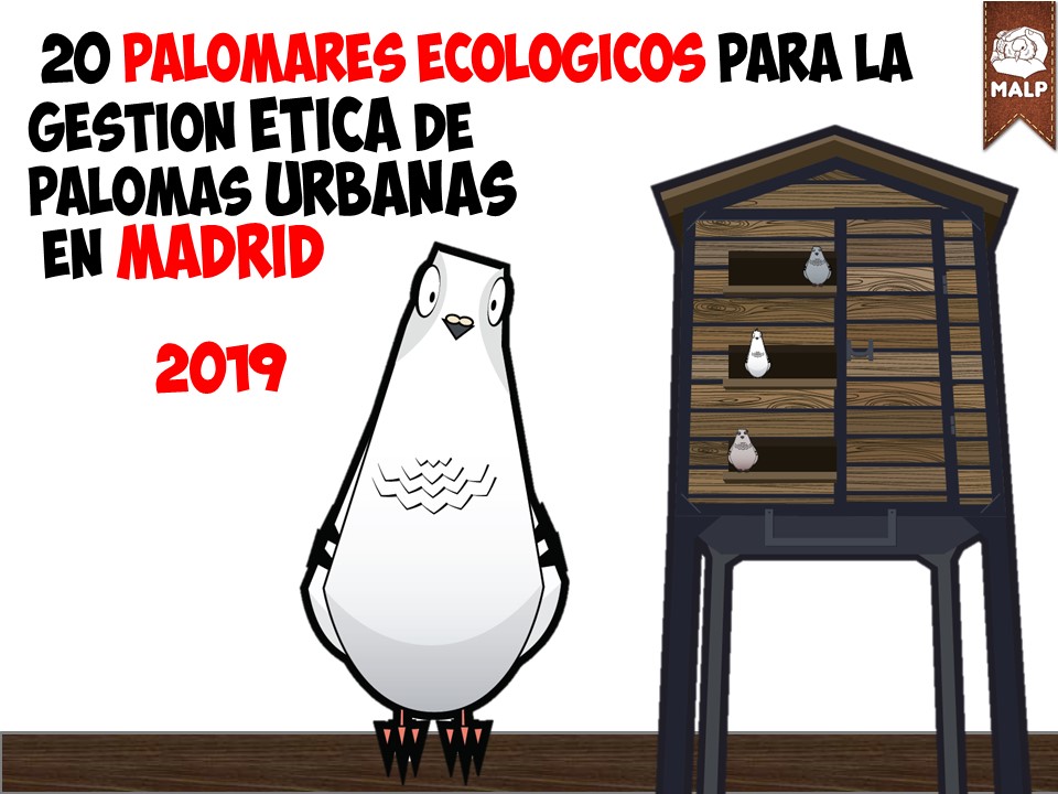 madriddecide2019.jpg