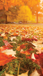 otoño.jpg