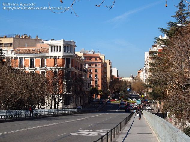 Paseo de Eduardo Dato