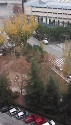 IMG_20181202_143529.jpg