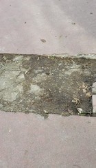 IMG_20181201_120802.jpg