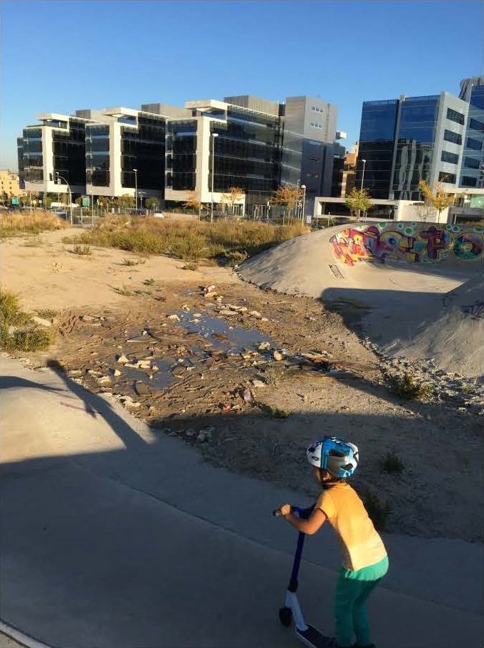 Estado lamentable del Skate Park de Las Tablas