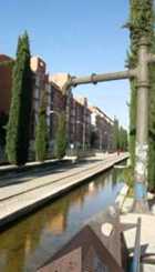 Canalones