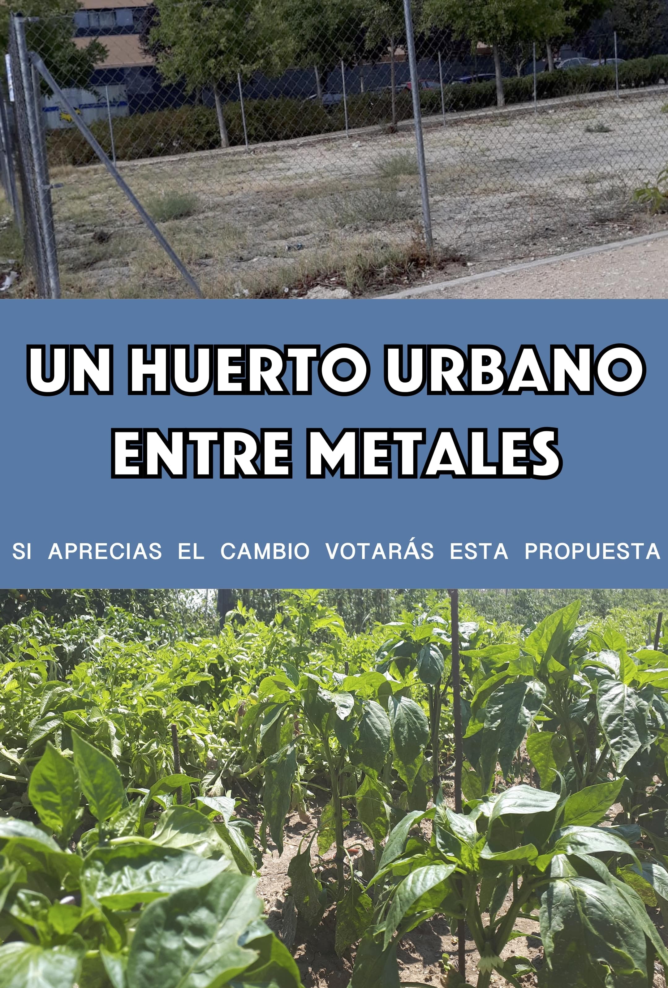Propuesta UN HUERTO URBANO ENTRE METALES
